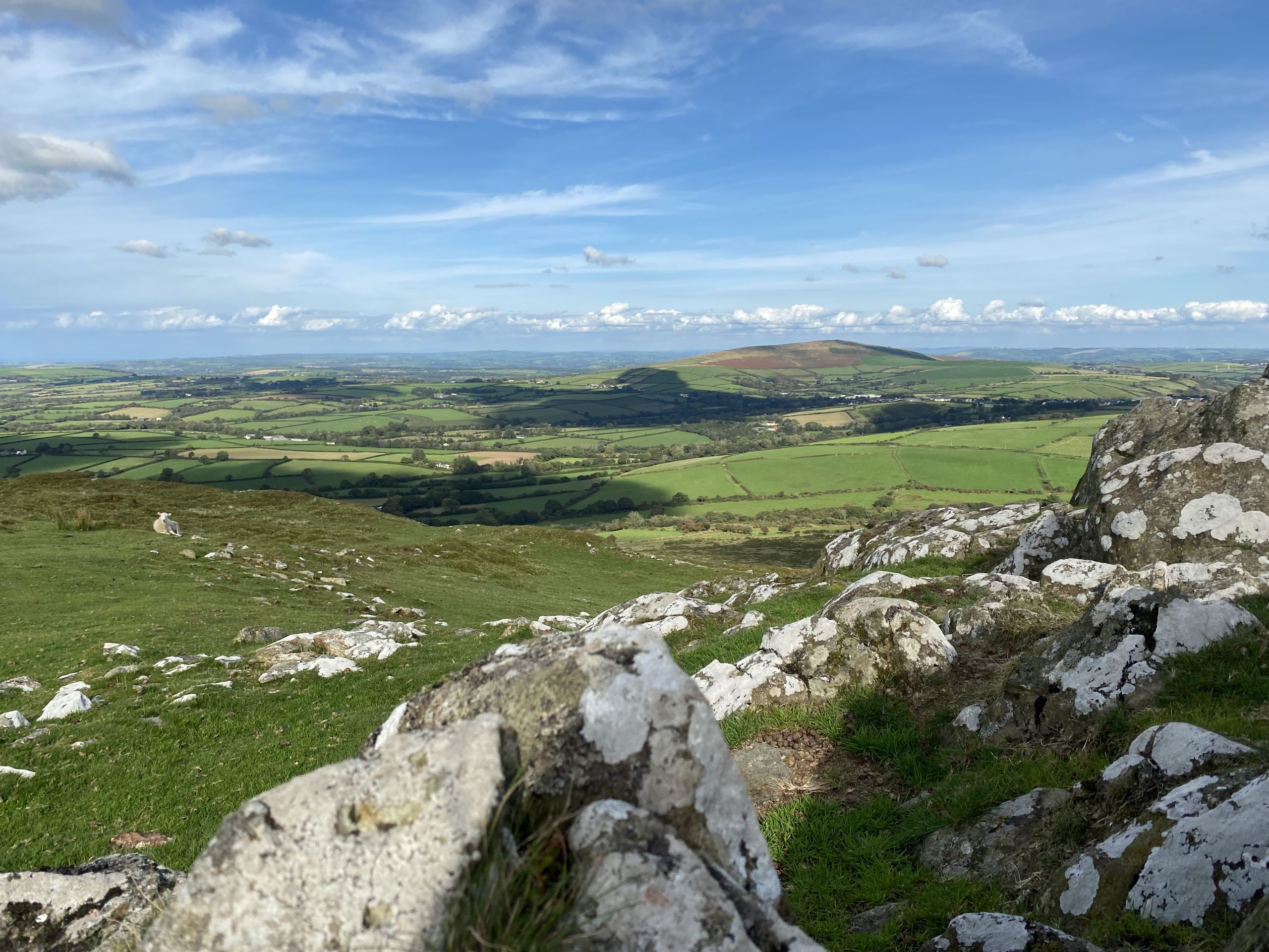 Grazing sheep in the distance from the rocky summit of the Iron-age Hill fort, Foel Drygarn.